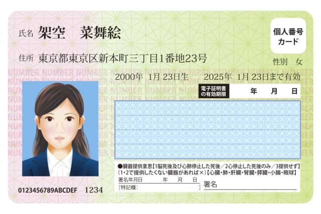 How to Get a Work Visa in Japan: Complete 2025 Guide