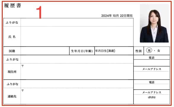 Guide to Writing a Japanese Resume